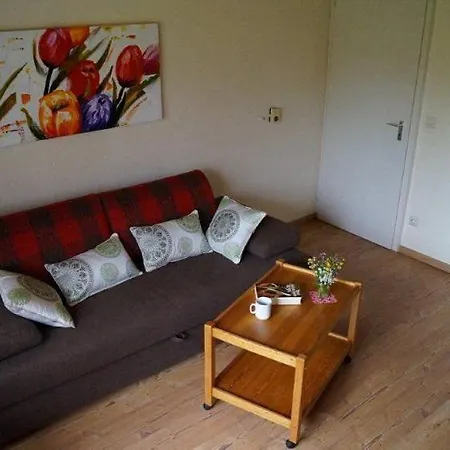 Prázdninový dům Wieselweg Im Reichenbach 1 *